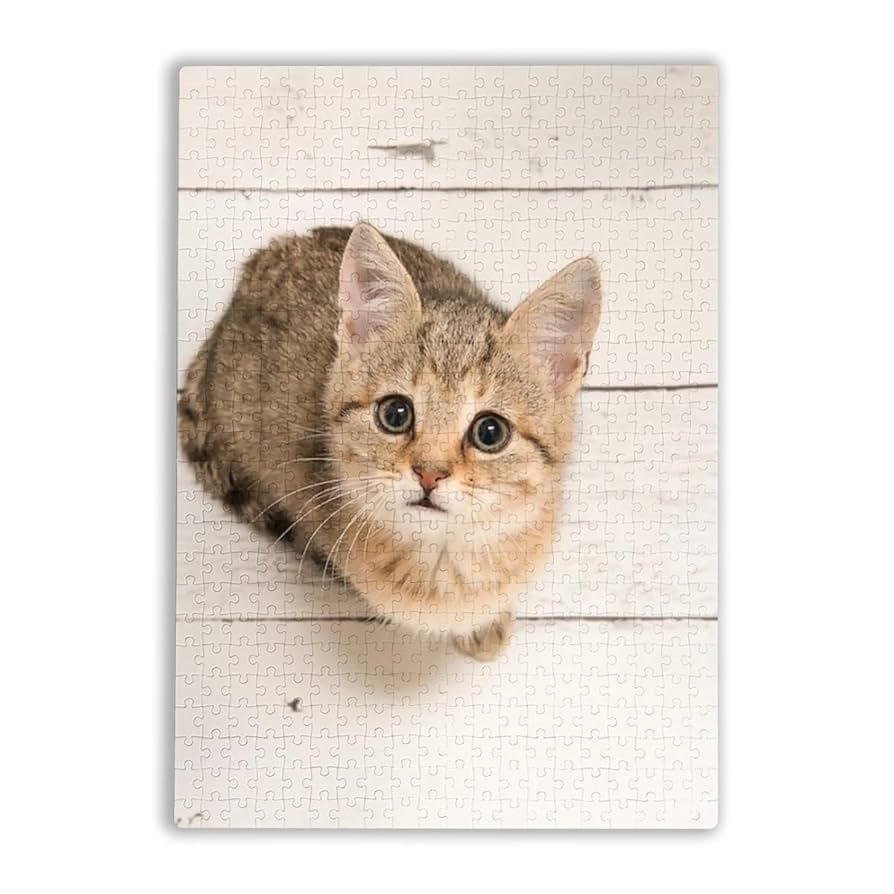 Amazon.co.jp: ジグソーパズル 500ピース 猫 可愛い ねこ パズル